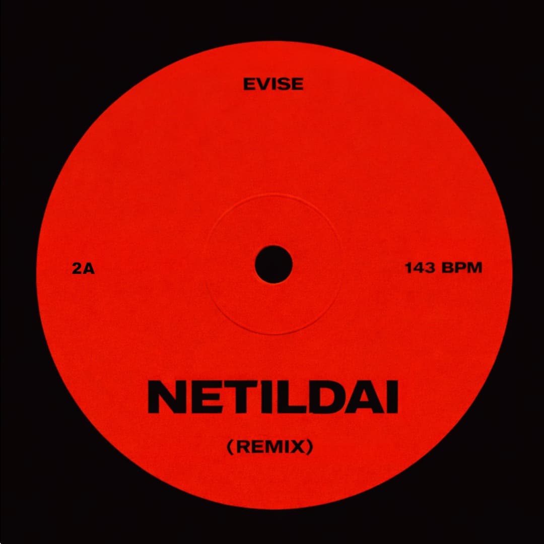 Netildai (Remix) by Evise