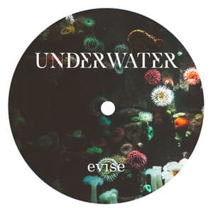 Underwater