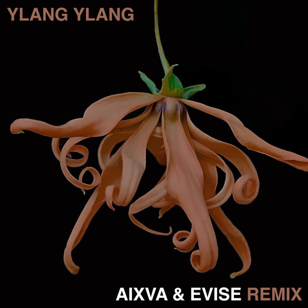 Ylang Ylang (Remix)